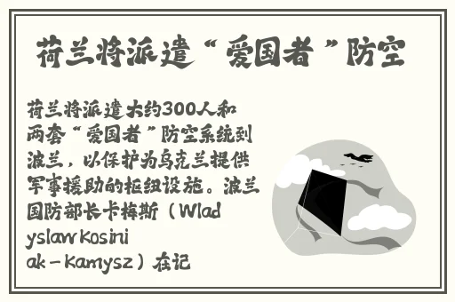 又疼又叫的朴克